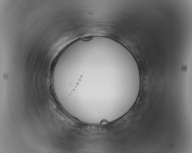X0000115000338200911091403