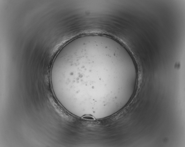 X0000115000345200911091403