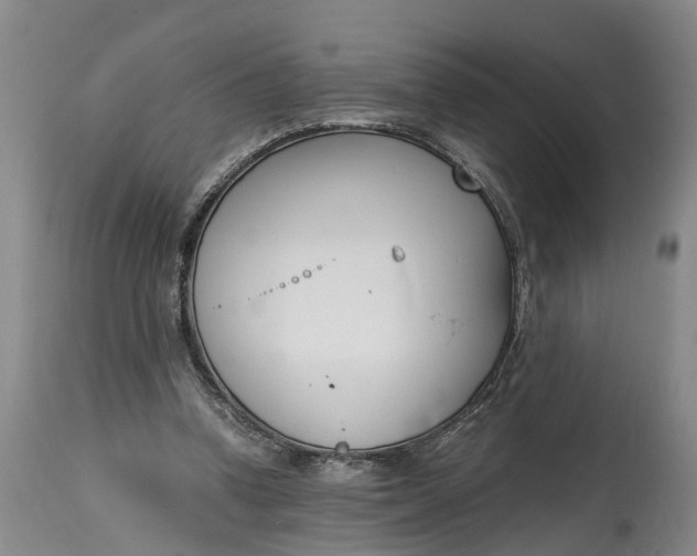 X0000115000346200911091403