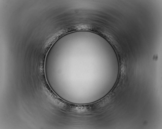 X0000115000353200911091403