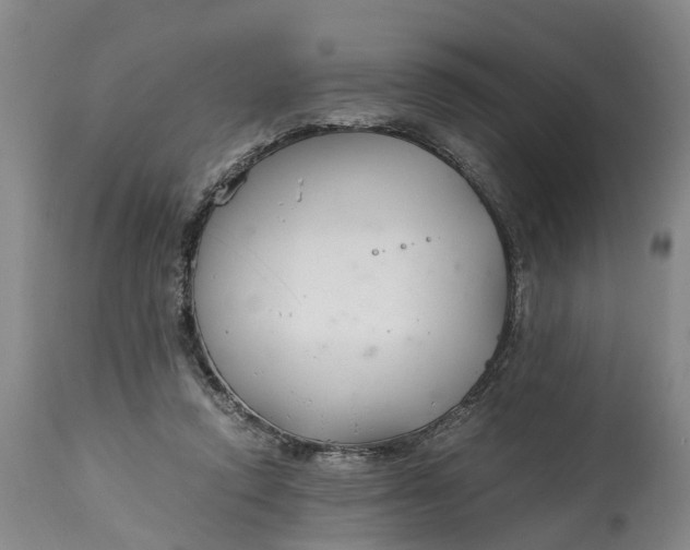 X0000115000354200911091403