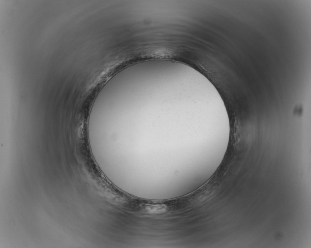 X0000115000355200911091403