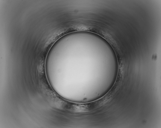 X0000115000359200911091403