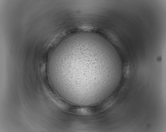 X0000115000365200911091403