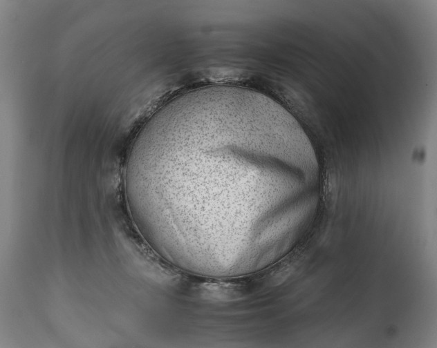 X0000115000367200911091403