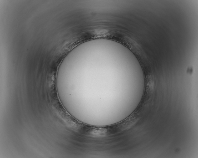 X0000115000369200911091403
