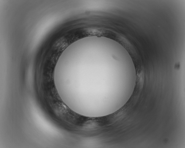 X0000115000381200911091404