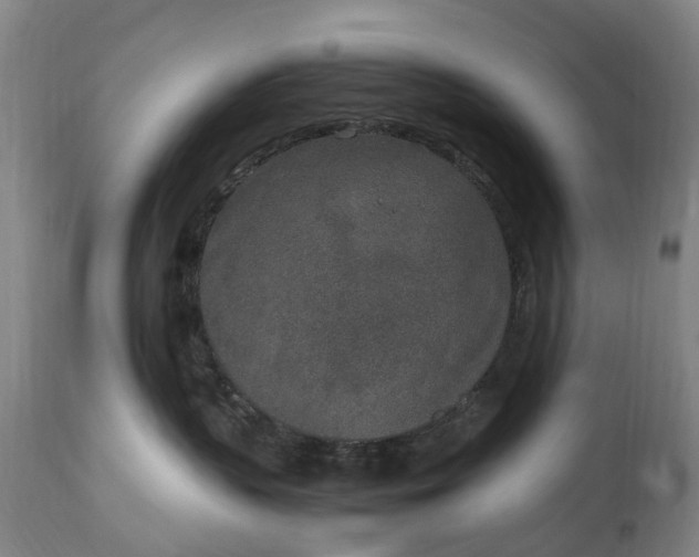 X0000115000383200911091404