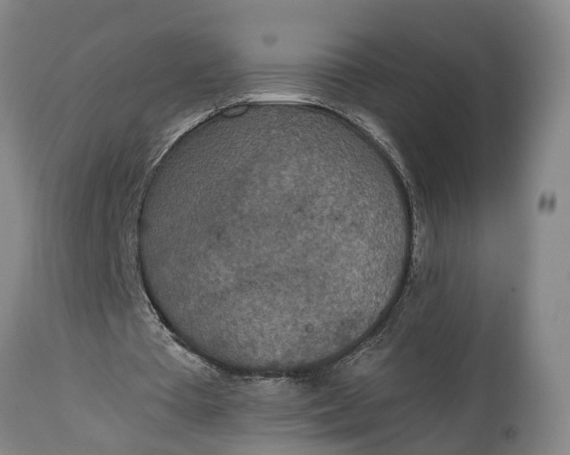 X0000115000385200911091403