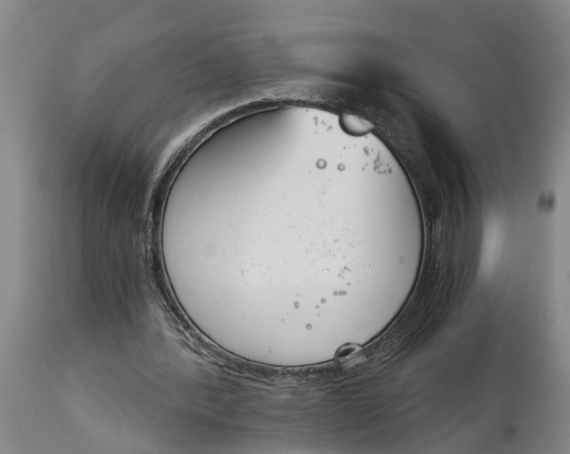 X0000115000388200911091403