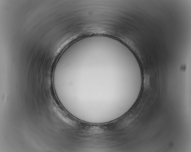 X0000115000390200911091403