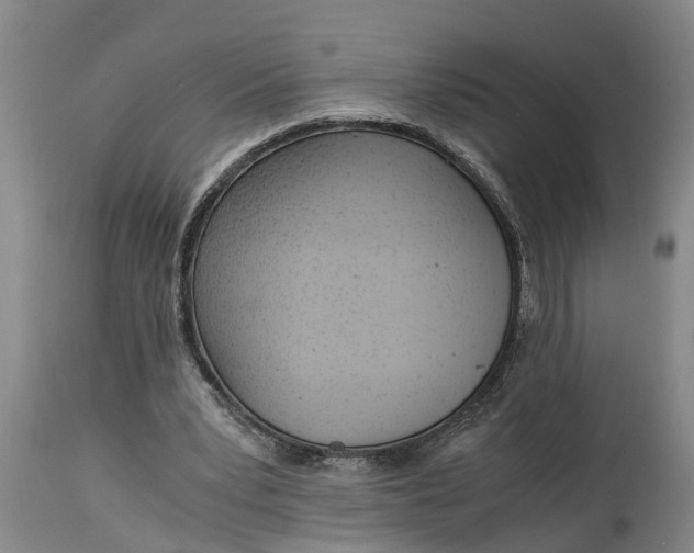X0000115000391200911091403