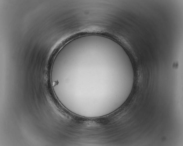 X0000115000392200911091403