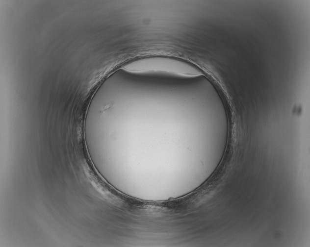 X0000115000393200911091403