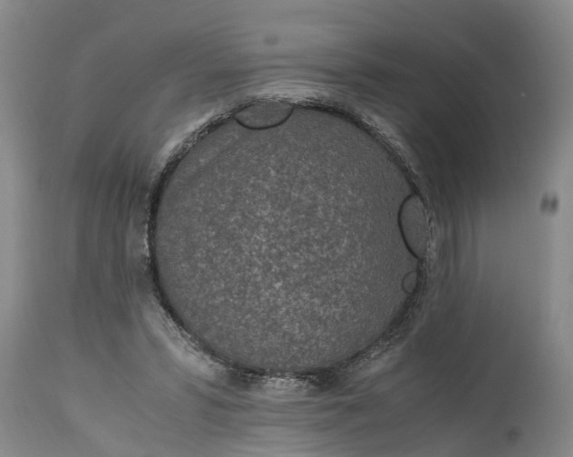 X0000115000399200911091403