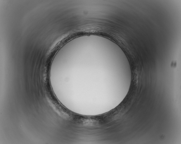 X0000115000400200911091403