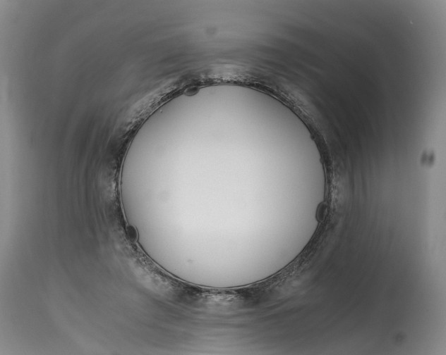X0000115000401200911091403