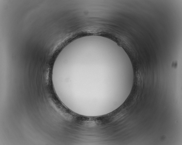 X0000115000404200911091403