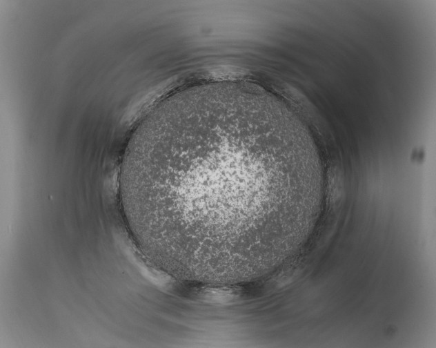 X0000115000405200911091403