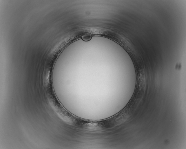 X0000115000406200911091402
