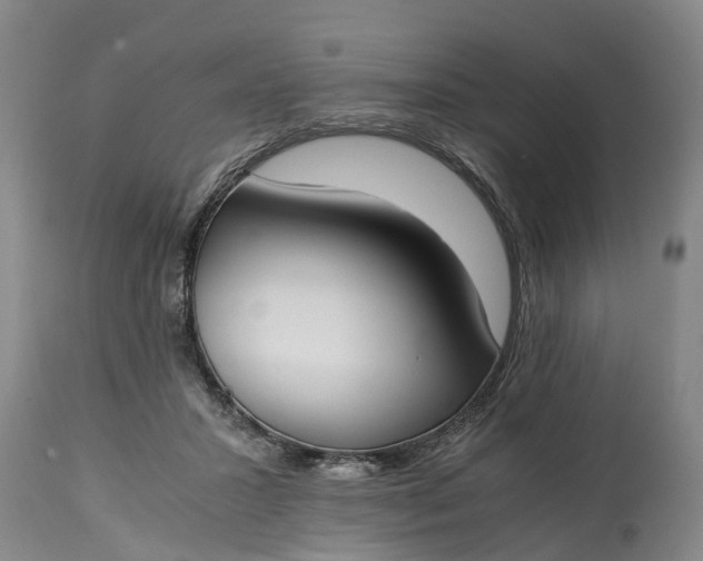 X0000115000407200911091402