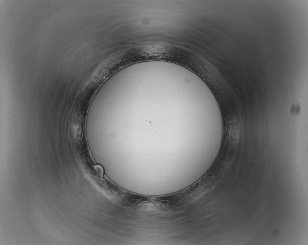 X0000115000408200911091402
