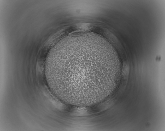X0000115000409200911091402