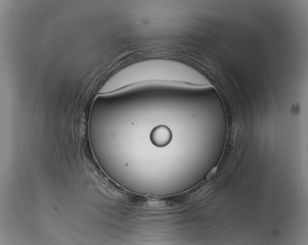 X0000115000413200911091402
