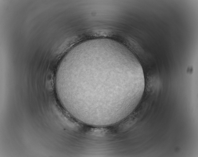 X0000115000414200911091402