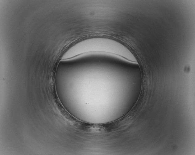 X0000115000415200911091402