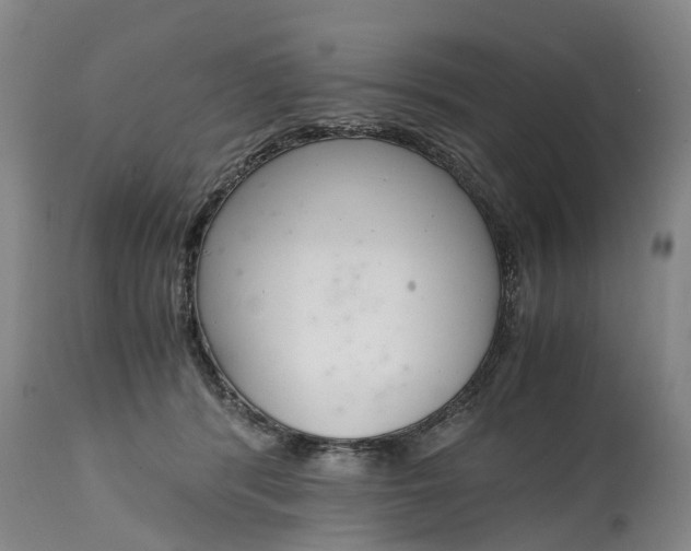 X0000115000416200911091402