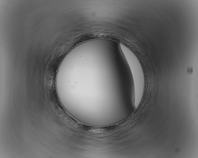 X0000115000417200911091402