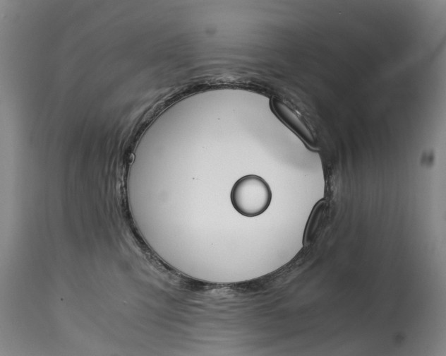 X0000115000423200911091402