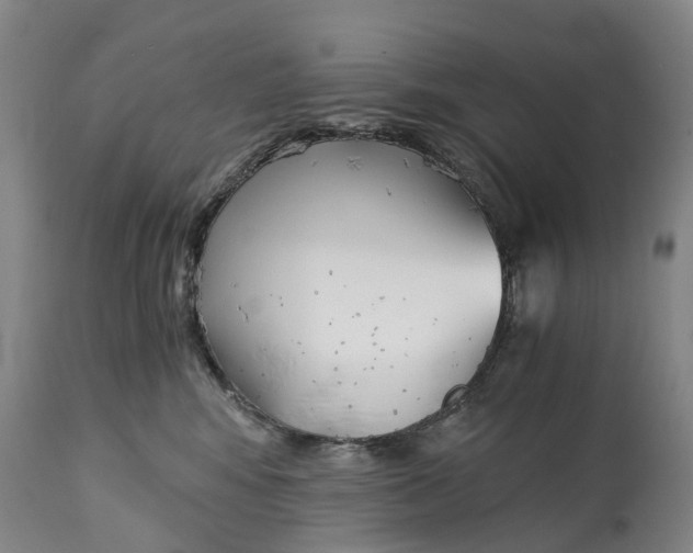 X0000115000424200911091402