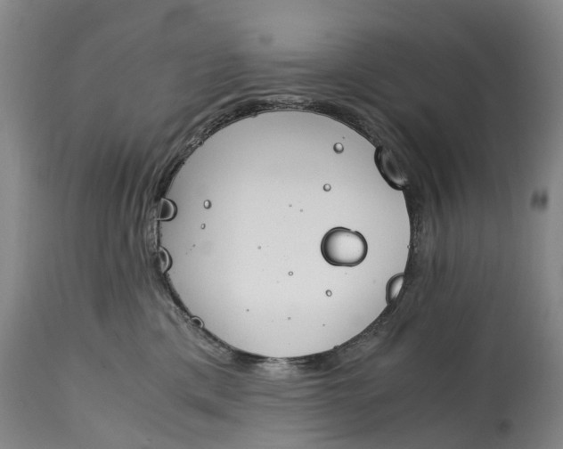 X0000115000425200911091402