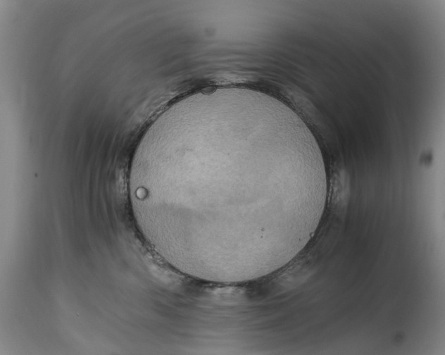 X0000115000426200911091402