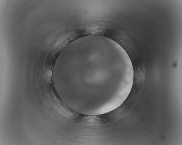 X0000115000427200911091402