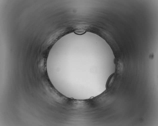 X0000115000428200911091402