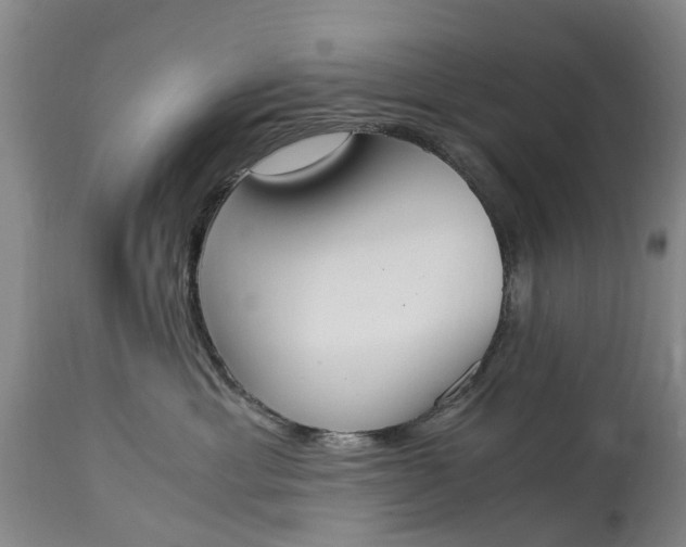 X0000115000429200911091402