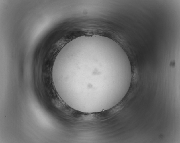 X0000115000430200911091402