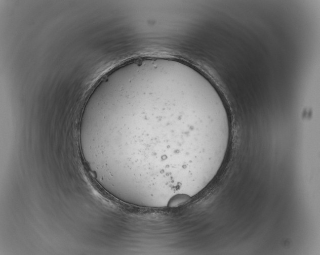 X0000115000433200911091401