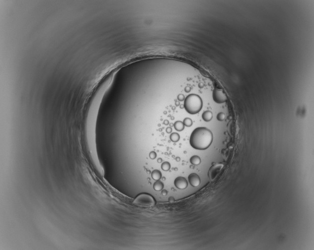 X0000115000434200911091401