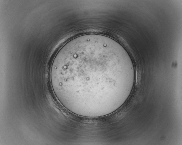 X0000115000435200911091401