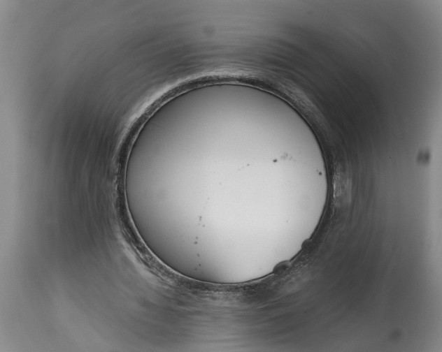 X0000115000436200911091401