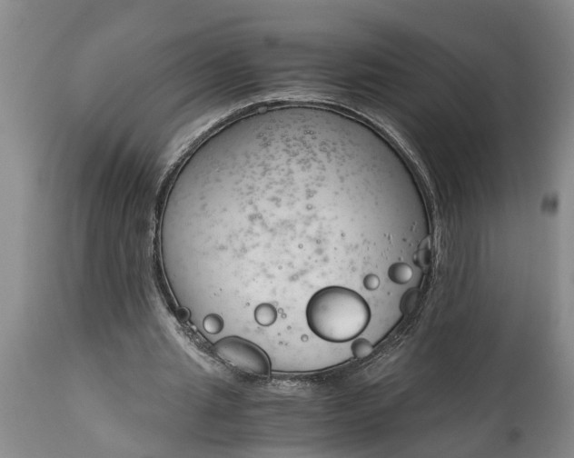 X0000115000437200911091401