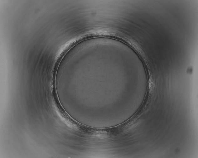 X0000115000438200911091401
