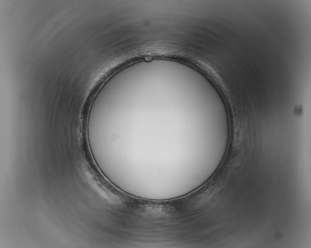 X0000115000439200911091401