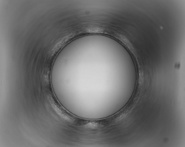 X0000115000441200911091401