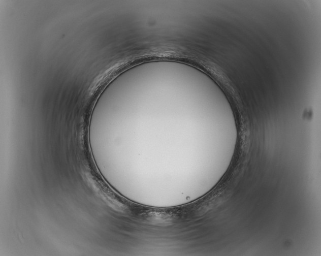 X0000115000442200911091401
