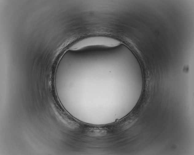 X0000115000443200911091401
